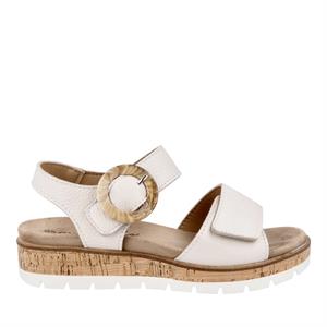 Cypres Soft 2516159