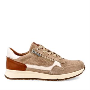 Cypres Soft 251623