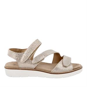 Cypres Soft 2516452