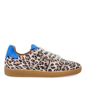 DWRS Poona leopard