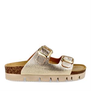 Goldstar 2510719