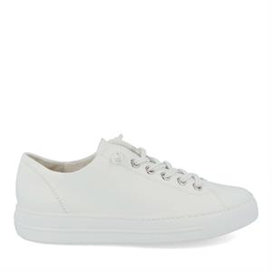 Paul Green 4081