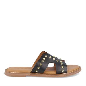 Tango Audrey 31c