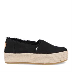 Toms 10019795