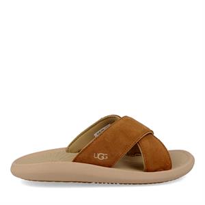 Ugg 1136654 m