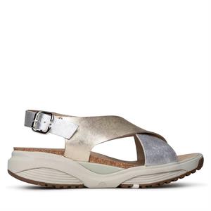 Xsensible Stretchwalker 30317.5
