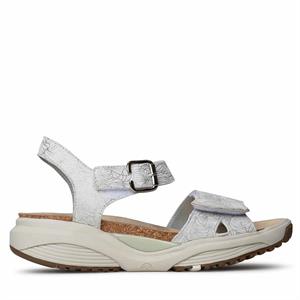 Xsensible Stretchwalker 30320.5