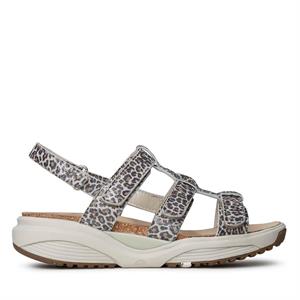 Xsensible Stretchwalker 30321.5